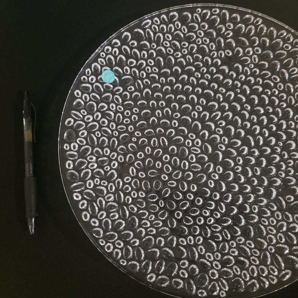 Tiffany & Co. Clear Glass Plate with Textured Design - Picture 6 of 14